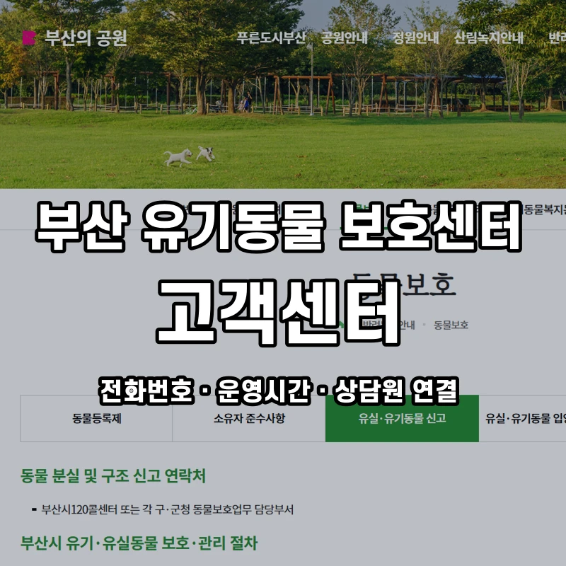 부산 유기동물 보호센터 고객센터 공식 홈페이지 화면